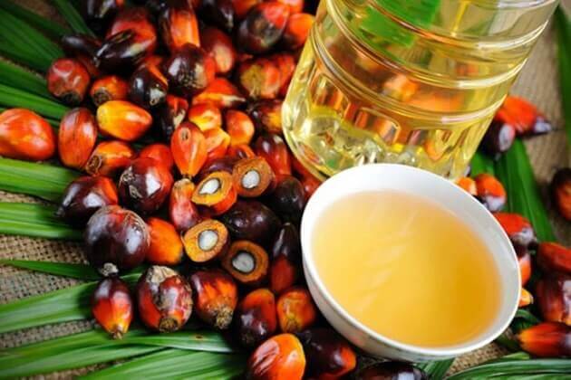 Красное пальмовое масло — состав, свойства и польза - статьи, MAGERIC